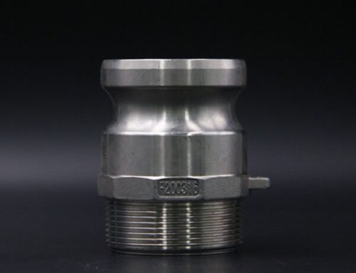 Male Adapter X Male Thread – Type F