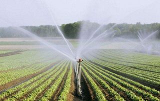 Agricultural Spray Hose